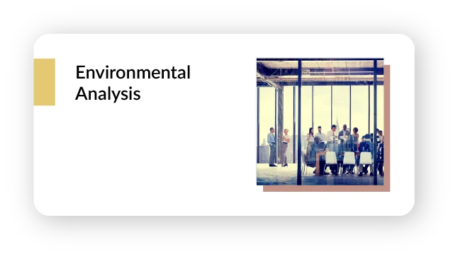 Learning module card: Environmental Analysis